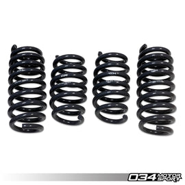 034Motorsport Dynamic+ Lowering Springs for Audi R8 Gen 1/1.5
